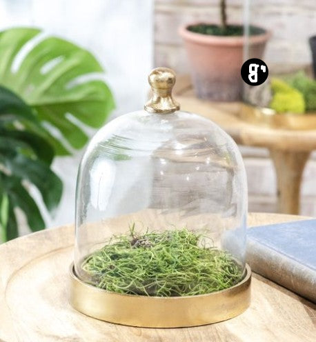 Glass Cloche with Gold Base, 3 Size Options